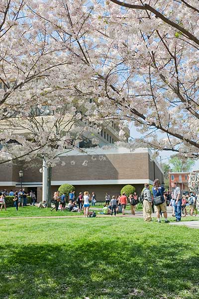 people congregated under cherry blossom trees outside of Grace E. Harris Hall
